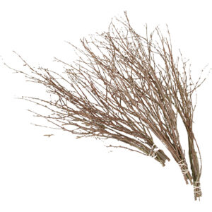 Fastelavnsris, L: 50-60 cm, 20 stk./ 1 pk.