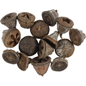 Eucalyptuskogler, 25 g/ 1 pk.