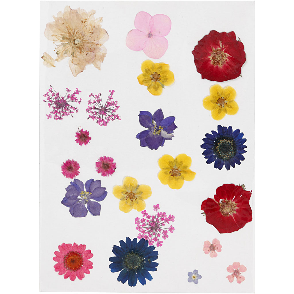 Tørrede blomster og blade, ass. farver, 1 pk.