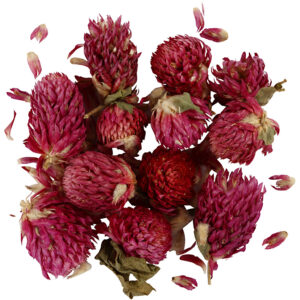 Tørrede blomster, lilla, Rødkløver, L: 1,5-2,5 cm, diam. 1 - 1,5 cm, 1 pk.